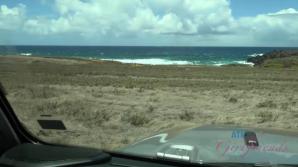 You see the sites and Shower with Sophia.