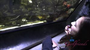 Violet Viper Aquarium Part 1